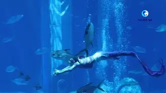 kaiyun-竞技篮球运动在非洲大陆迅速发展，备受瞩目(竞技篮球运动在非洲大陆迅速发展,备受瞩目影响)