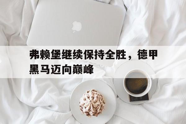 开云-关于弗赖堡继续保持全胜，德甲黑马迈向巅峰的信息