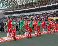 开云-广州富力主场击败重庆力帆，喜获三分的简单介绍